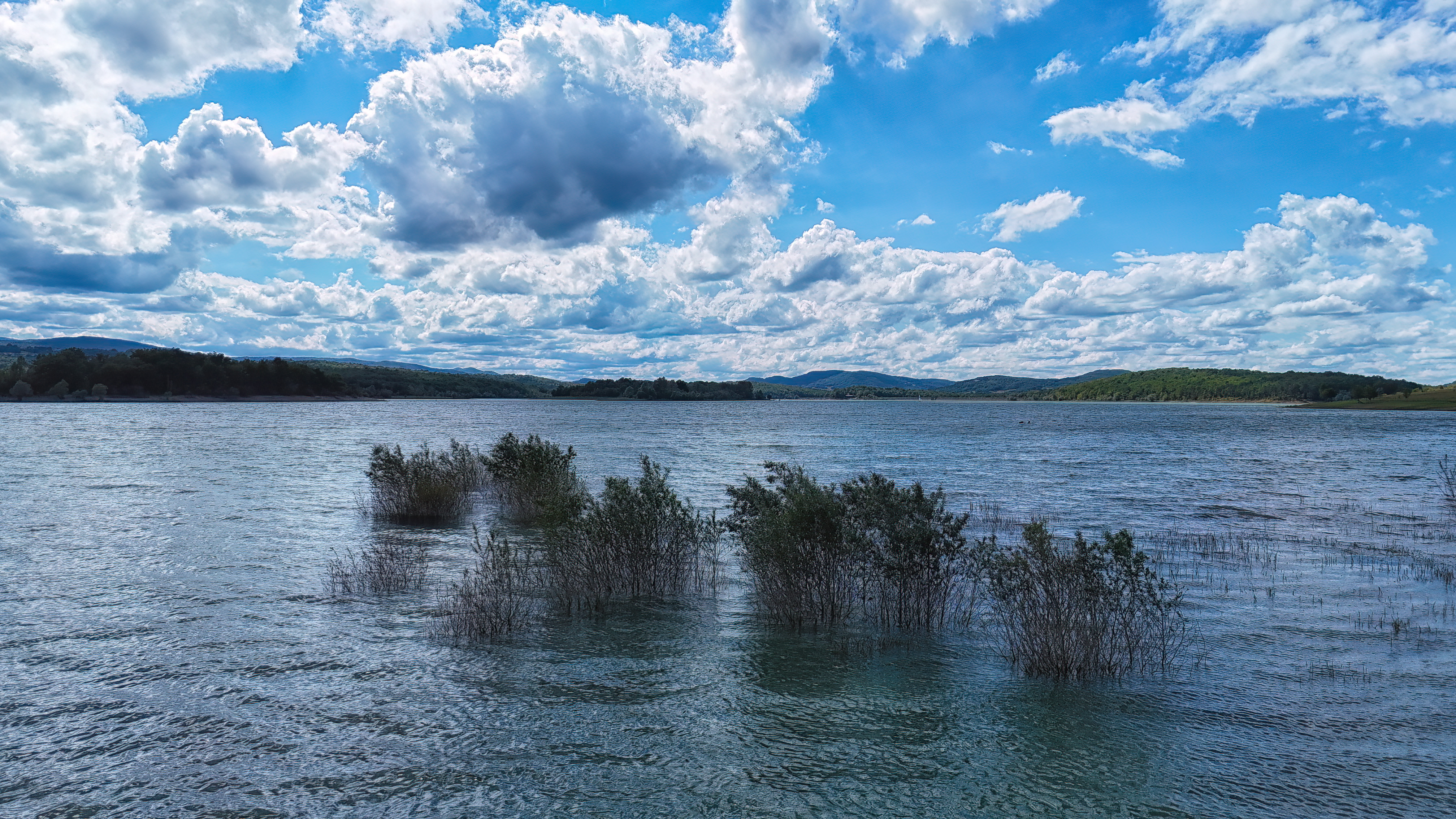 Tamaris immergés ጠ Le lac de Montbel en basses eaux